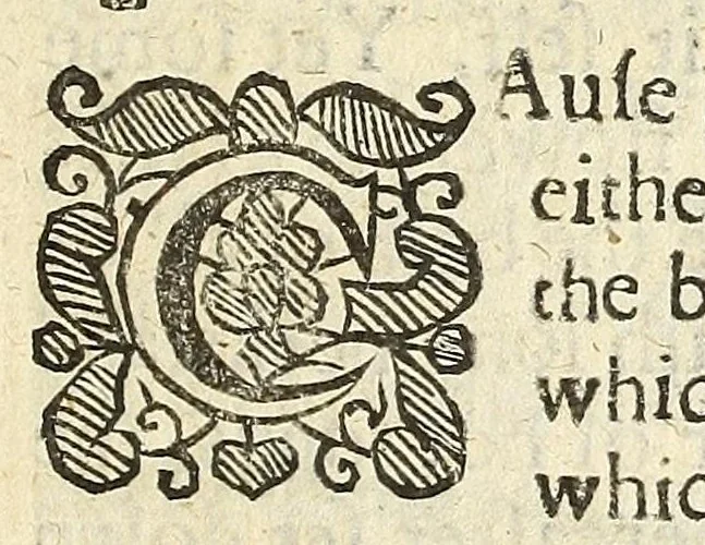 An illustration from The jevvel house of art and nature : containing divers rare and profitable inventions, together with sundry new experiments in the art of husbandry : with divers chimical conclusions concerning the art of distillation, and the rare practises and uses thereof. Faithfully and familiarly set down, according to the authours own experience, 1653, leaf 15