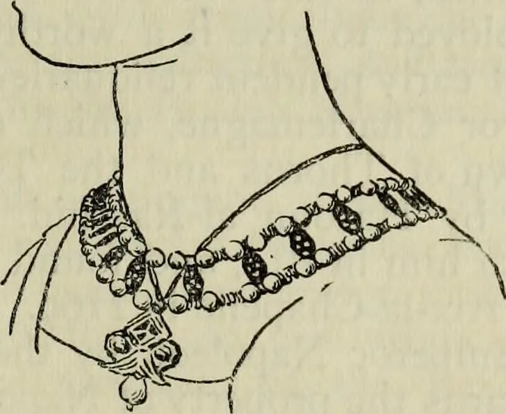 An illustration from Jewellery, 1908, leaf 200