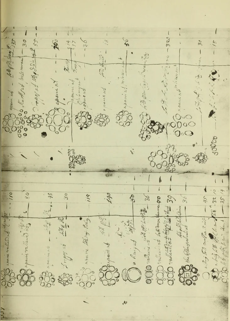 An illustration from Jewellery, 1908, leaf 442