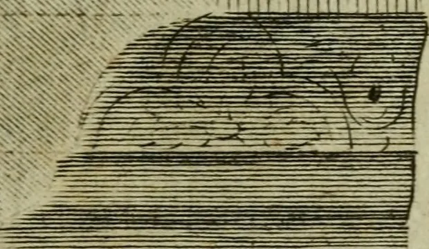 An illustration from The builder's jewel, or, The youth's instructor and workman's remembrancer : explaining short and easy rules, made familiar to the meanest capacity, for drawing and working ... : the whole illustrated by upwards of 200 examples, engraved on 100 copper-plates, 1787, leaf 182