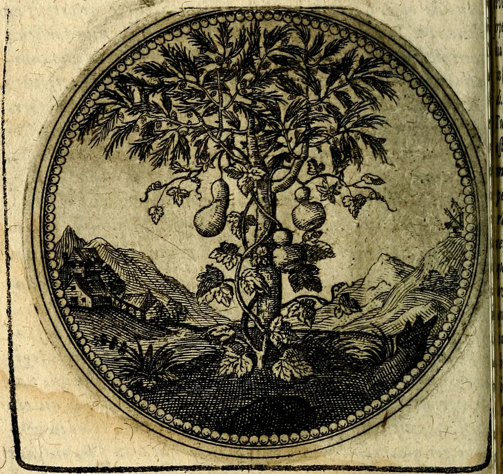 An illustration from Joachimi Camerarii Symbolorum et emblematum, centuriae quatuor .., 1668, leaf 101