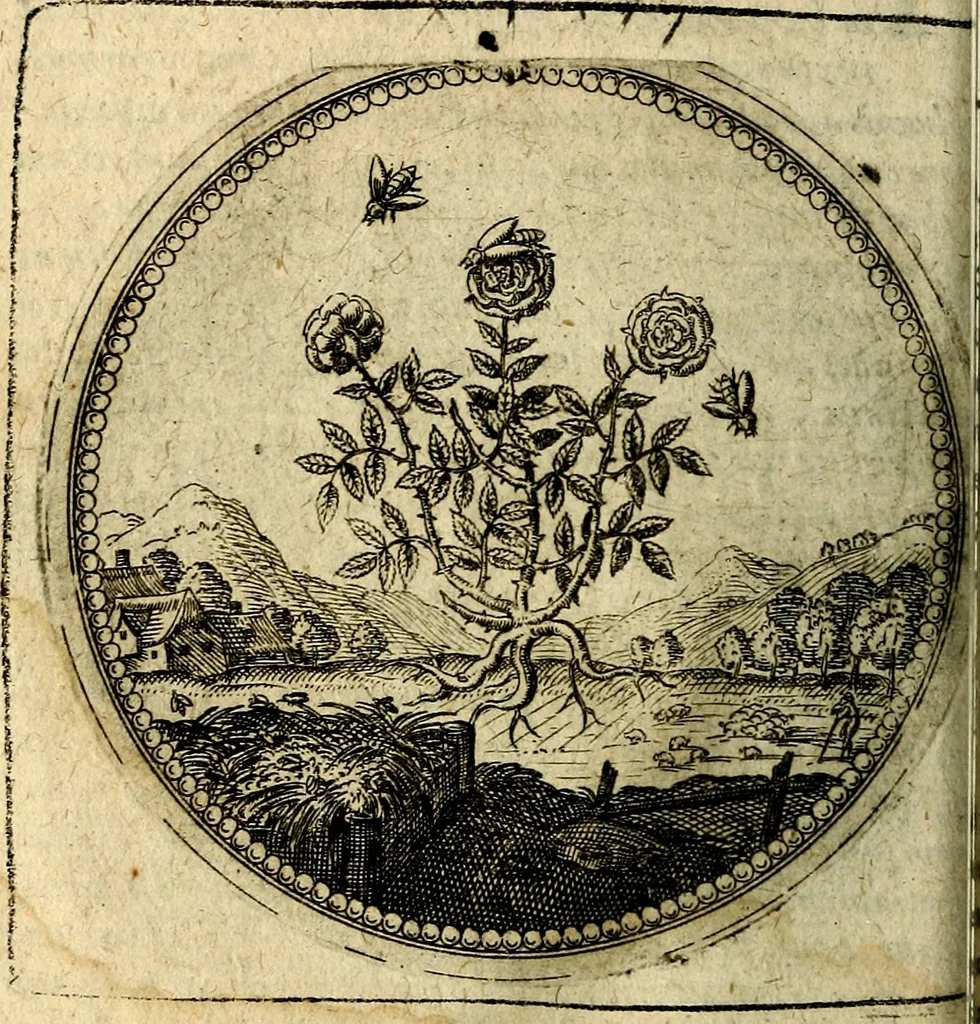 An illustration from Joachimi Camerarii Symbolorum et emblematum, centuriae quatuor .., 1668, leaf 103