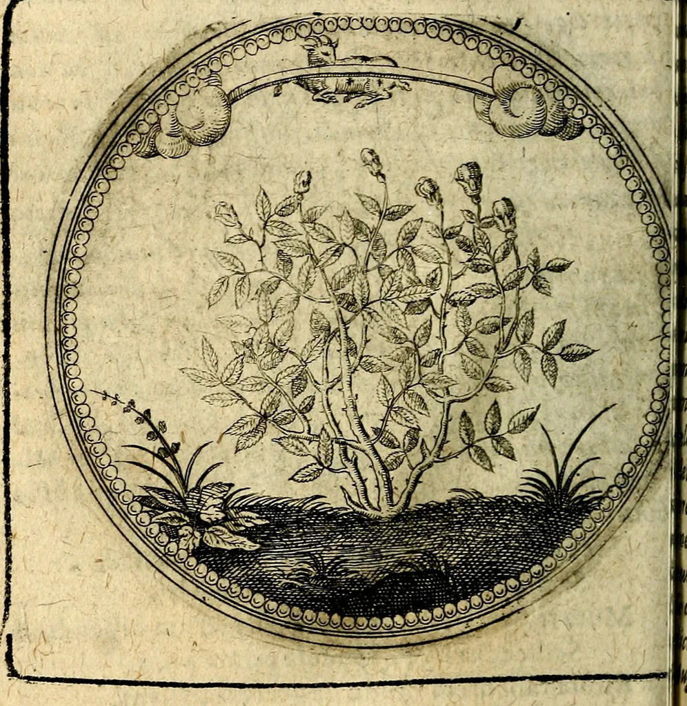 An illustration from Joachimi Camerarii Symbolorum et emblematum, centuriae quatuor .., 1668, leaf 107
