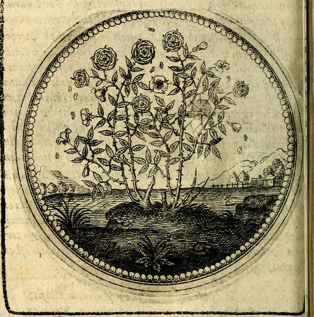 An illustration from Joachimi Camerarii Symbolorum et emblematum, centuriae quatuor .., 1668, leaf 113