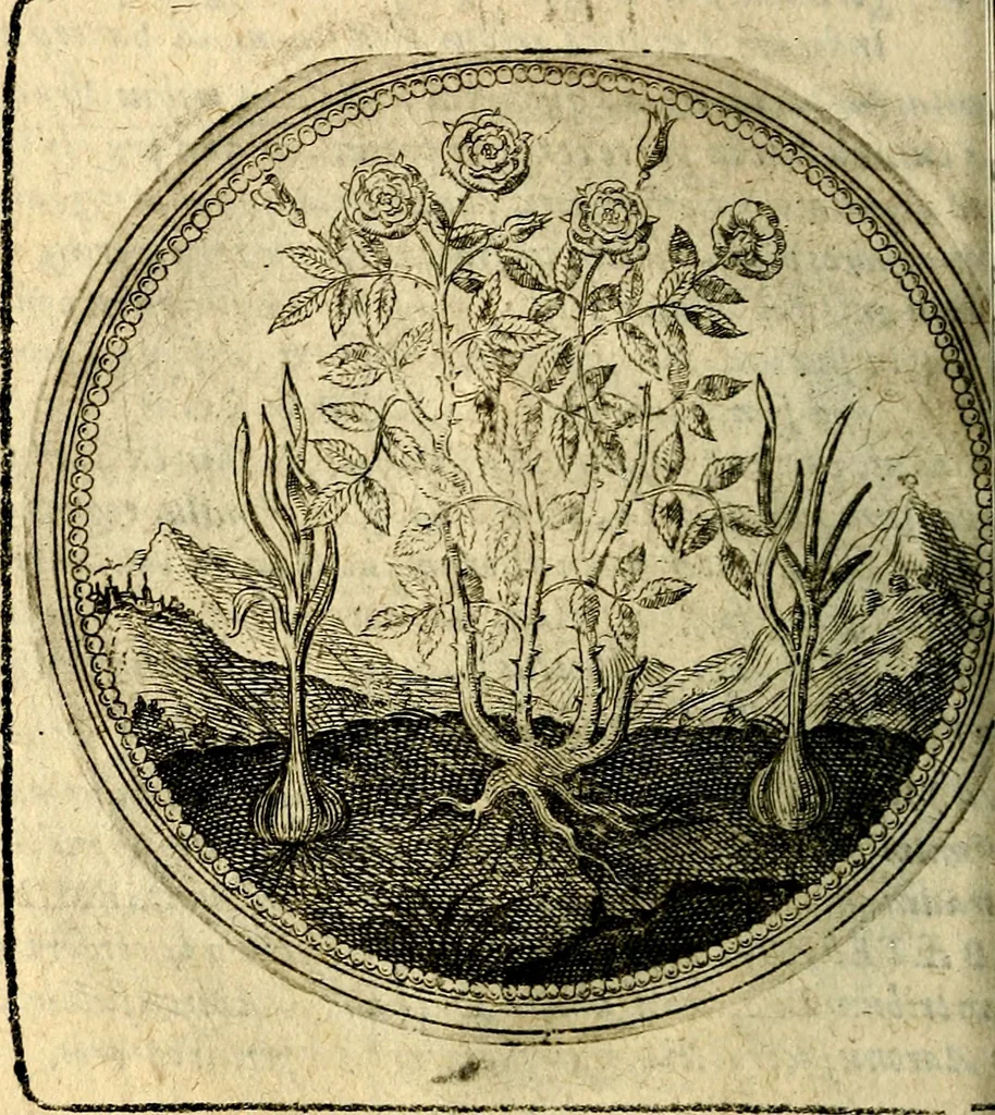 An illustration from Joachimi Camerarii Symbolorum et emblematum, centuriae quatuor .., 1668, leaf 117