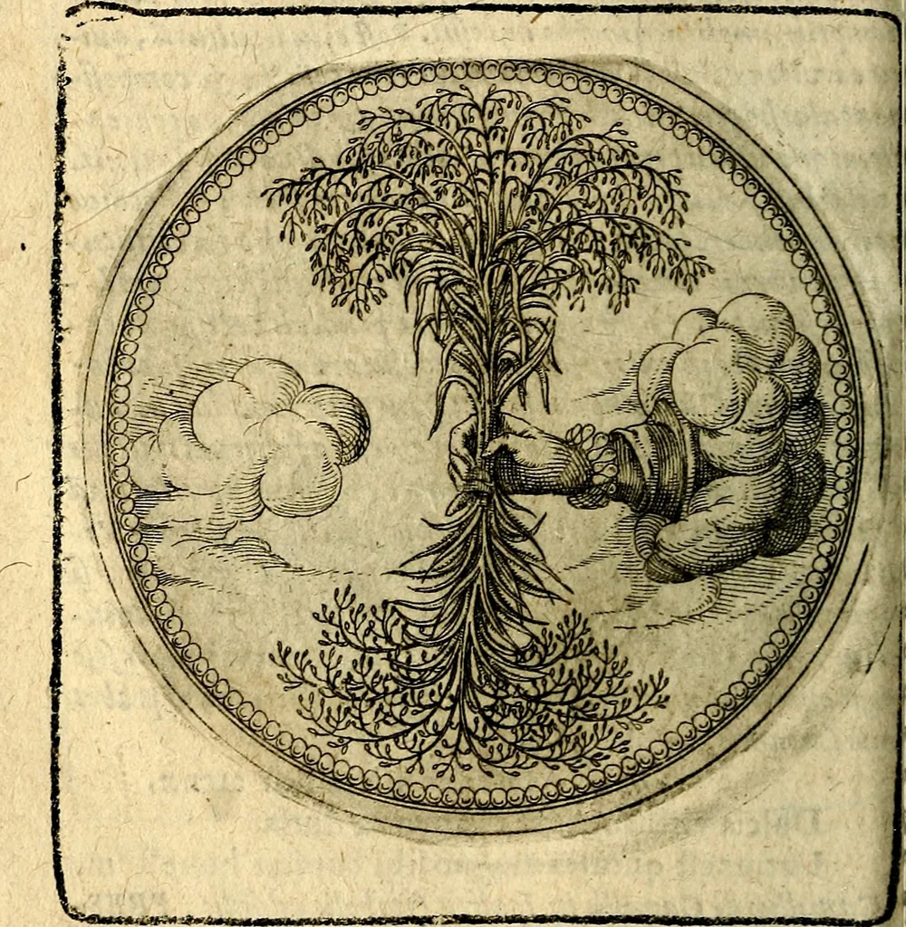 An illustration from Joachimi Camerarii Symbolorum et emblematum, centuriae quatuor .., 1668, leaf 129