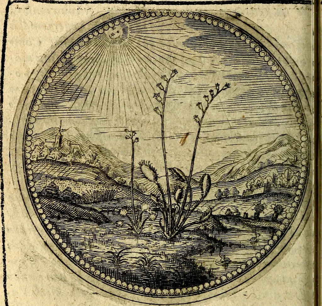 An illustration from Joachimi Camerarii Symbolorum et emblematum, centuriae quatuor .., 1668, leaf 131