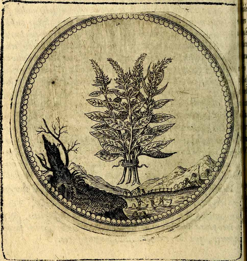 An illustration from Joachimi Camerarii Symbolorum et emblematum, centuriae quatuor .., 1668, leaf 133