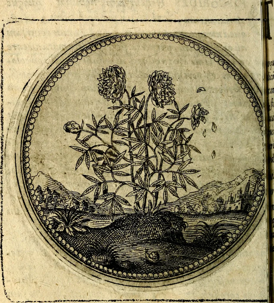 An illustration from Joachimi Camerarii Symbolorum et emblematum, centuriae quatuor .., 1668, leaf 135