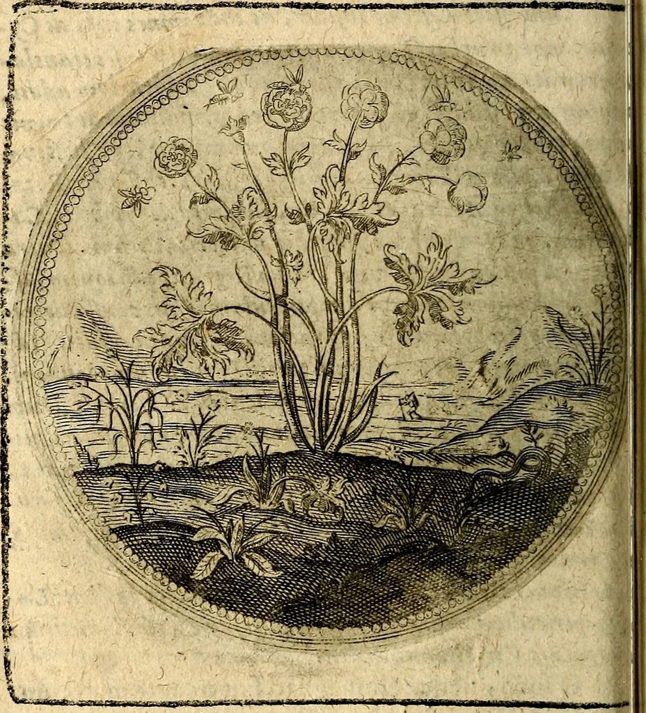 An illustration from Joachimi Camerarii Symbolorum et emblematum, centuriae quatuor .., 1668, leaf 145