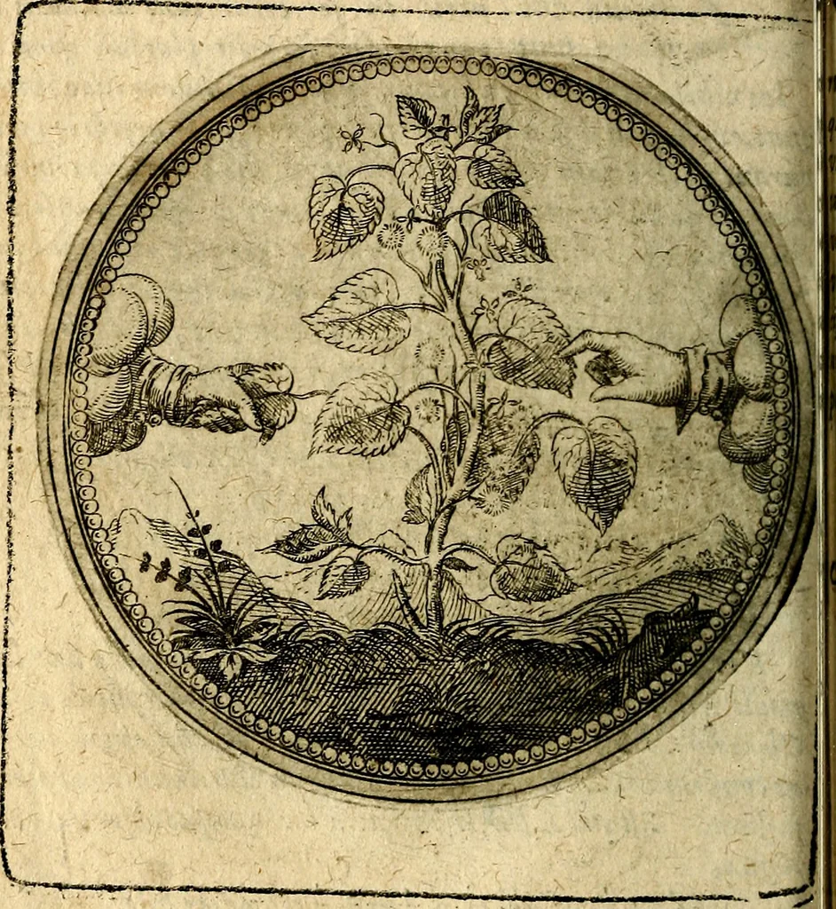 An illustration from Joachimi Camerarii Symbolorum et emblematum, centuriae quatuor .., 1668, leaf 147