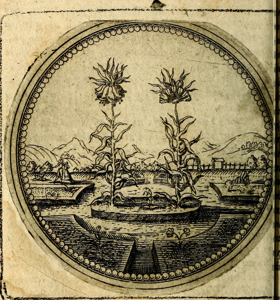An illustration from Joachimi Camerarii Symbolorum et emblematum, centuriae quatuor .., 1668, leaf 153