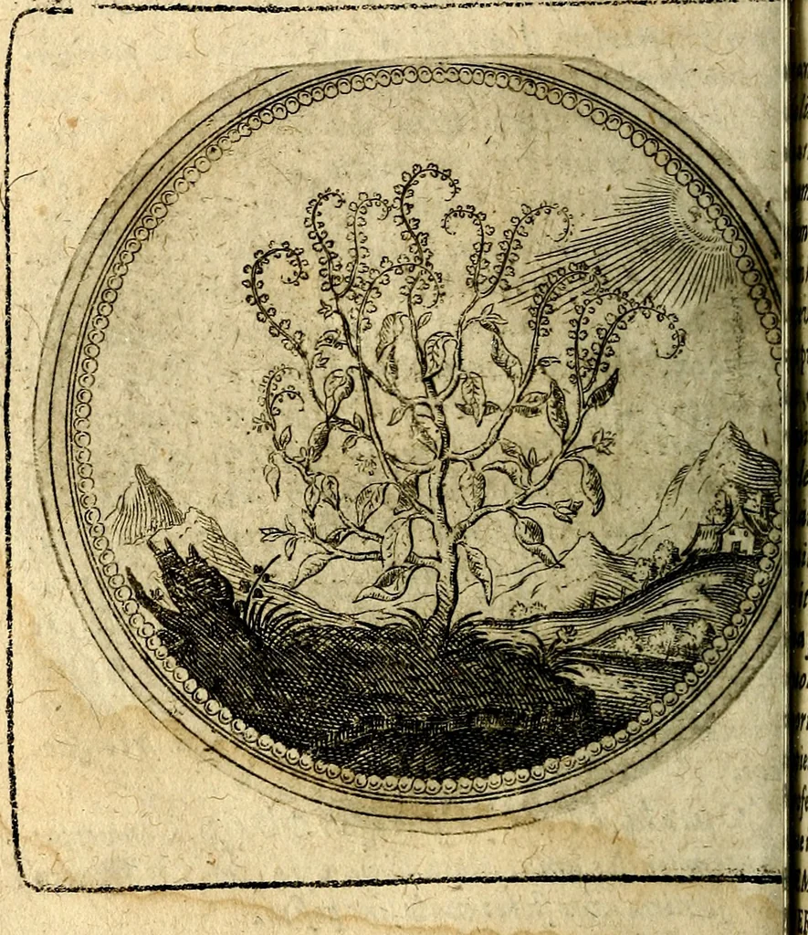 An illustration from Joachimi Camerarii Symbolorum et emblematum, centuriae quatuor .., 1668, leaf 155