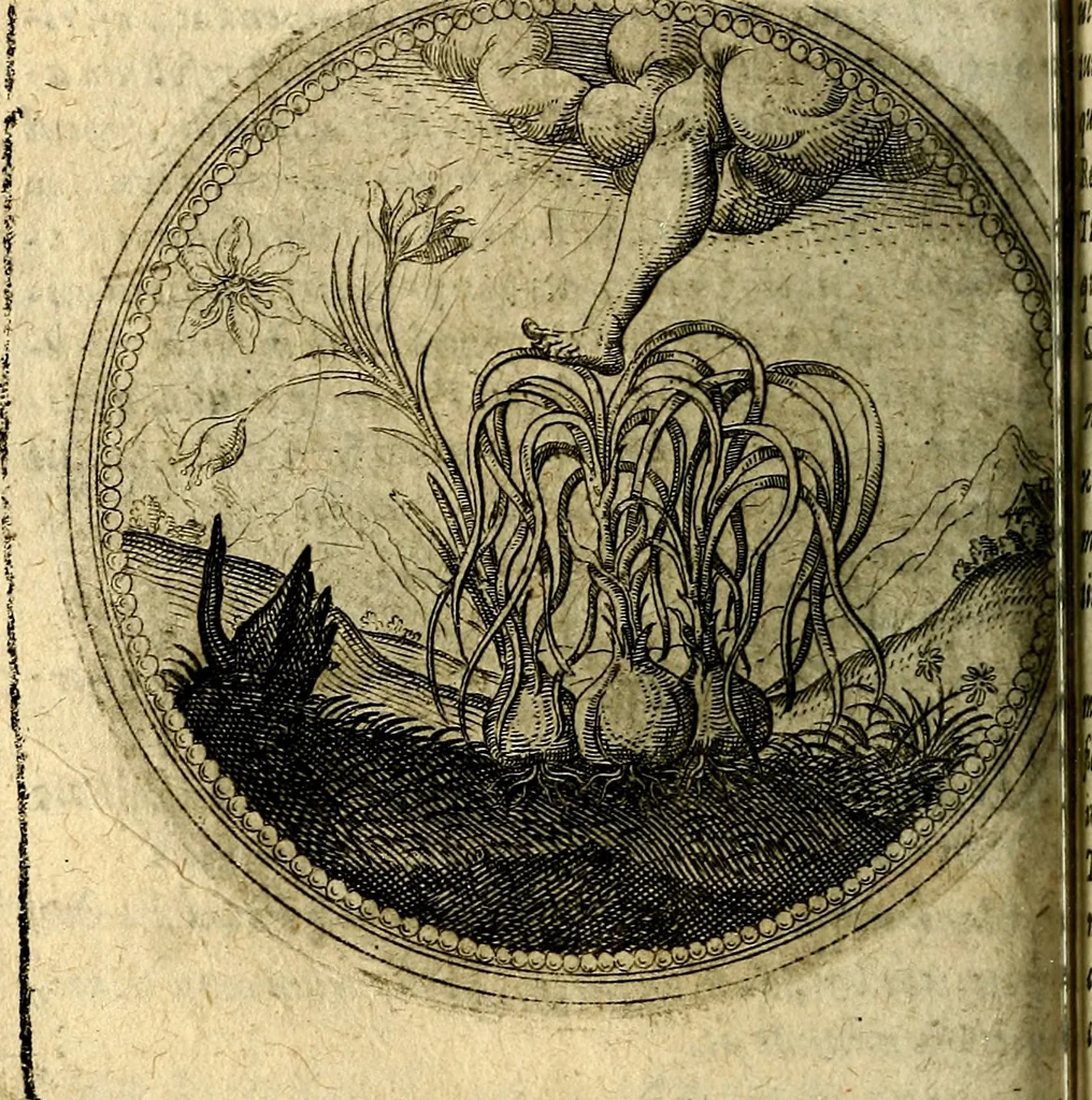 An illustration from Joachimi Camerarii Symbolorum et emblematum, centuriae quatuor .., 1668, leaf 161
