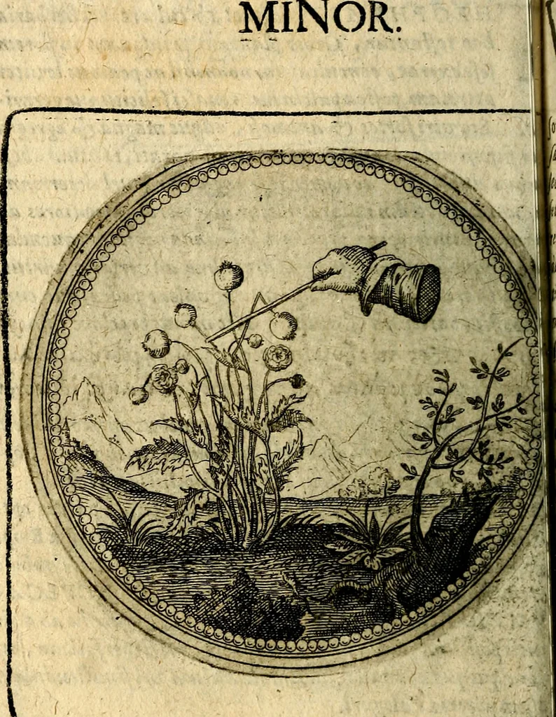 An illustration from Joachimi Camerarii Symbolorum et emblematum, centuriae quatuor .., 1668, leaf 163