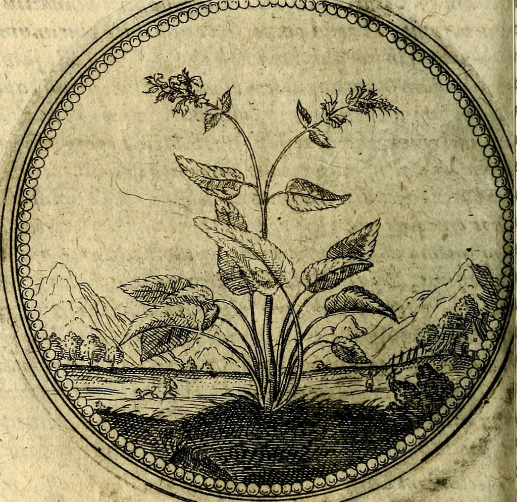 An illustration from Joachimi Camerarii Symbolorum et emblematum, centuriae quatuor .., 1668, leaf 165