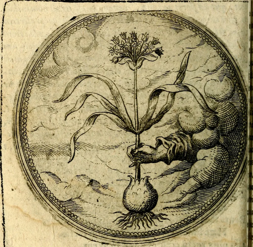 An illustration from Joachimi Camerarii Symbolorum et emblematum, centuriae quatuor .., 1668, leaf 171