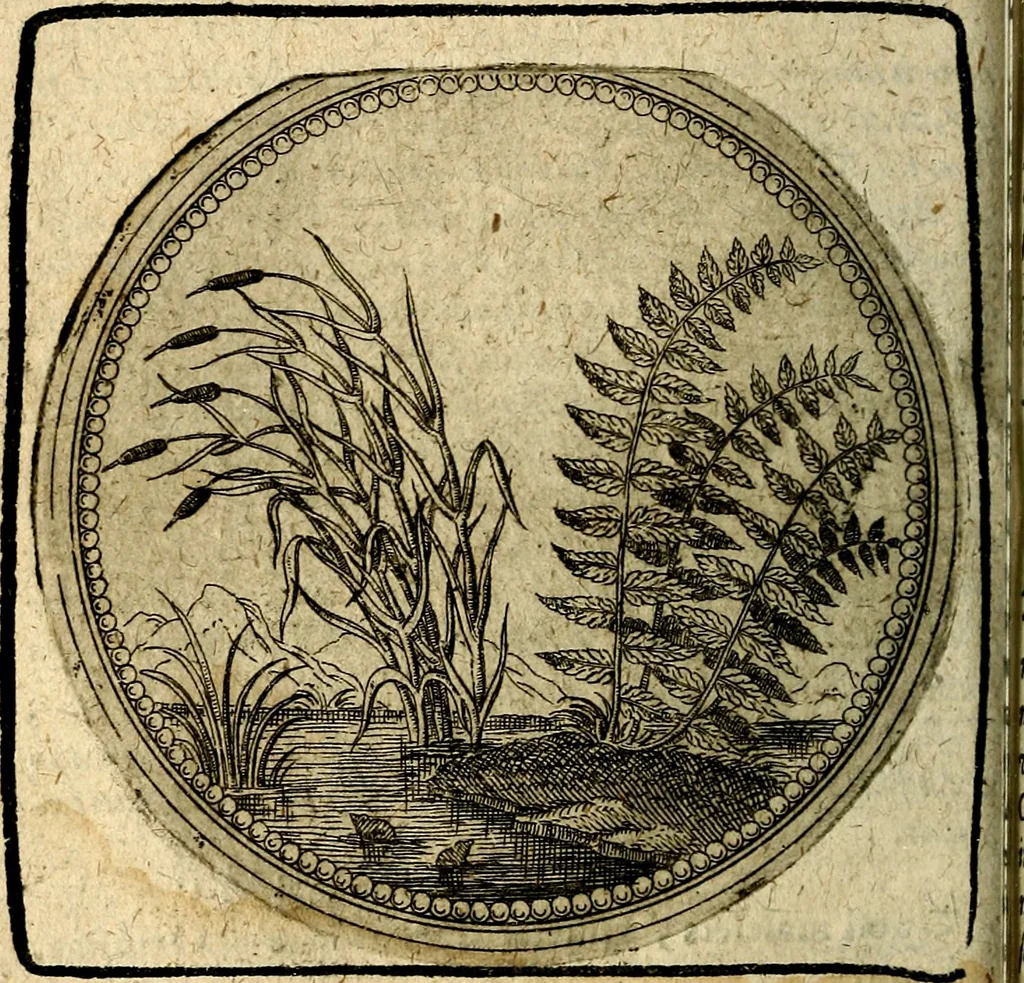 An illustration from Joachimi Camerarii Symbolorum et emblematum, centuriae quatuor .., 1668, leaf 175