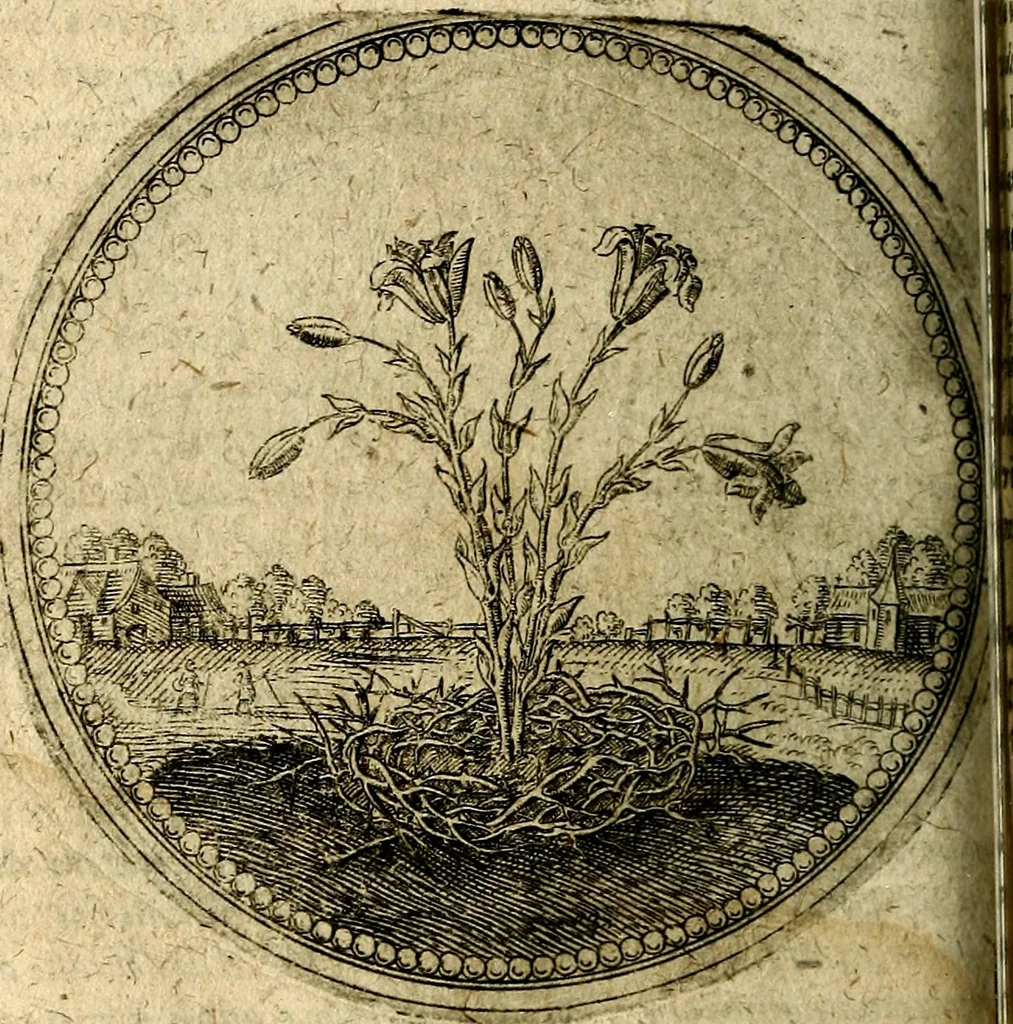 An illustration from Joachimi Camerarii Symbolorum et emblematum, centuriae quatuor .., 1668, leaf 187