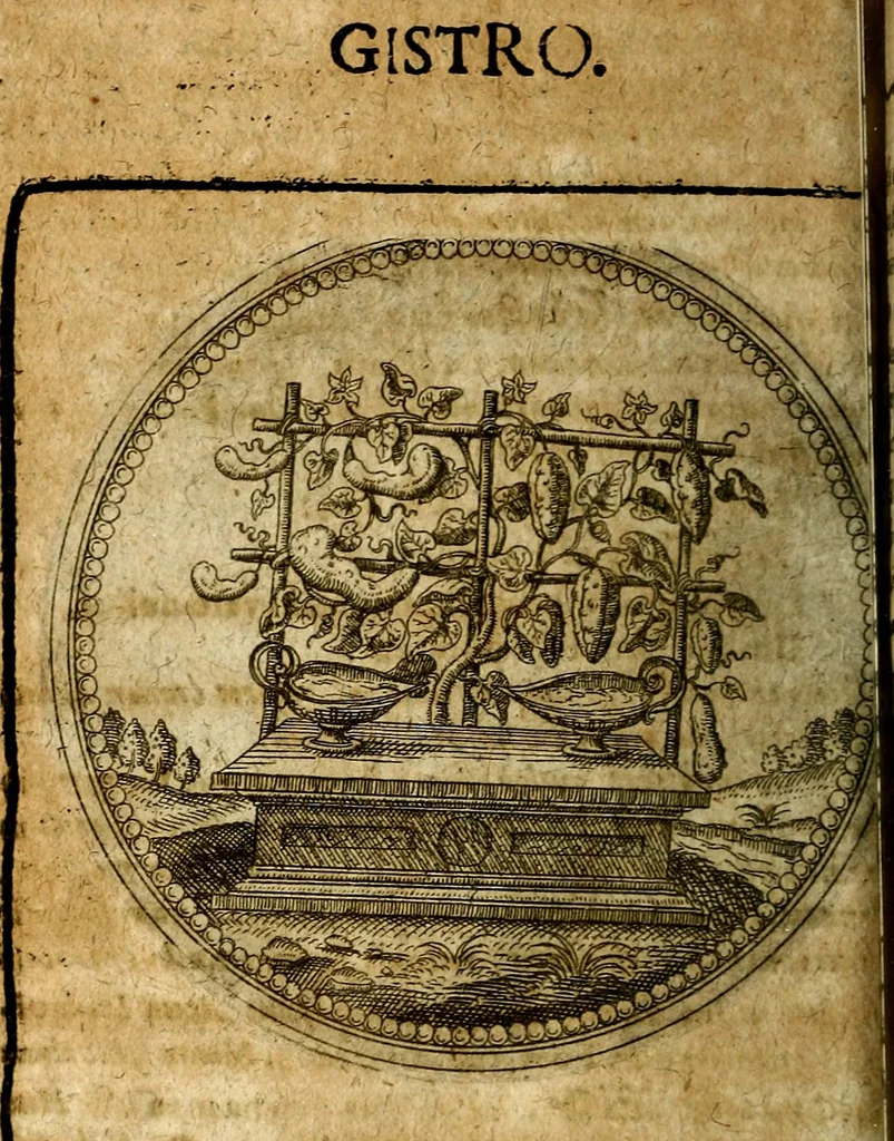 An illustration from Joachimi Camerarii Symbolorum et emblematum, centuriae quatuor .., 1668, leaf 203
