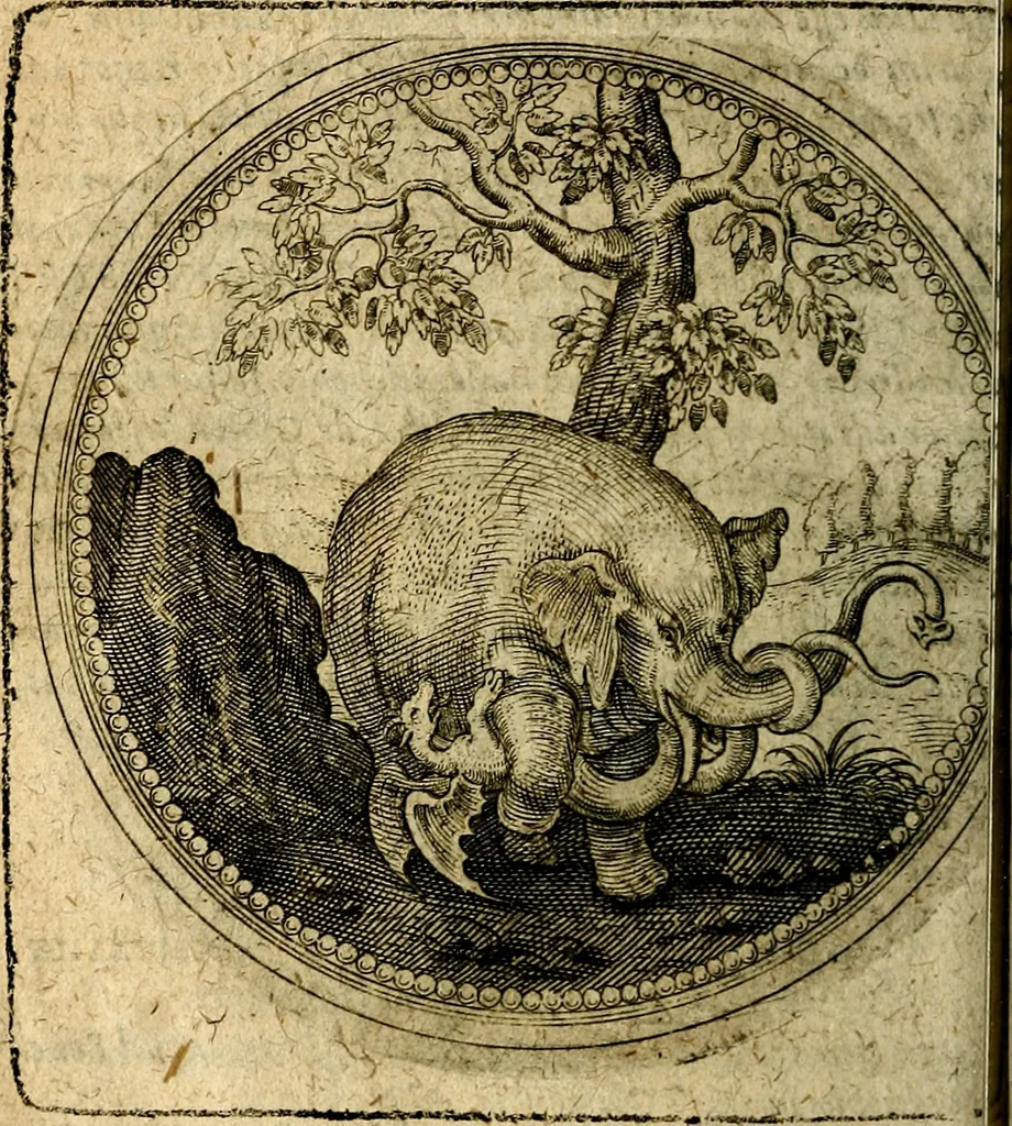 An illustration from Joachimi Camerarii Symbolorum et emblematum, centuriae quatuor .., 1668, leaf 217