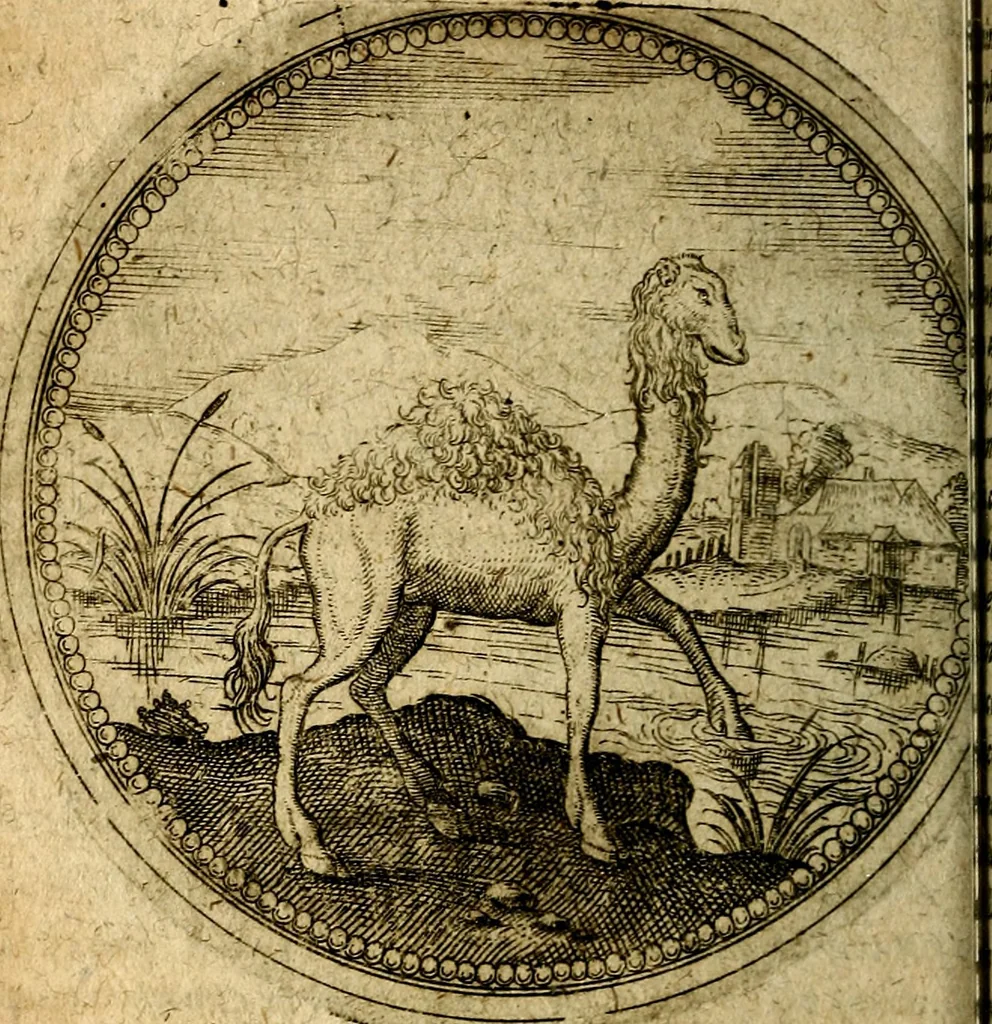 An illustration from Joachimi Camerarii Symbolorum et emblematum, centuriae quatuor .., 1668, leaf 241