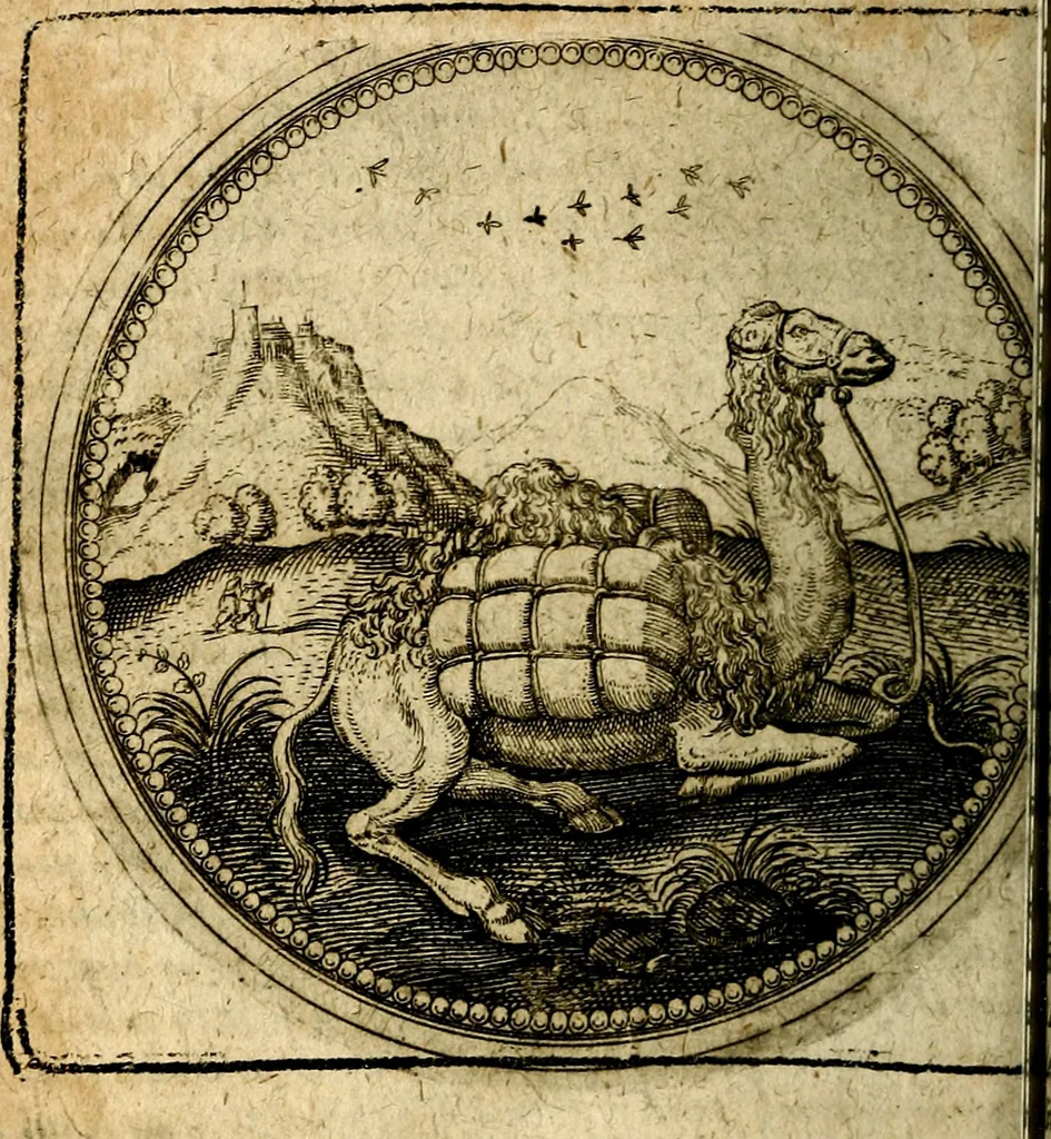 An illustration from Joachimi Camerarii Symbolorum et emblematum, centuriae quatuor .., 1668, leaf 243