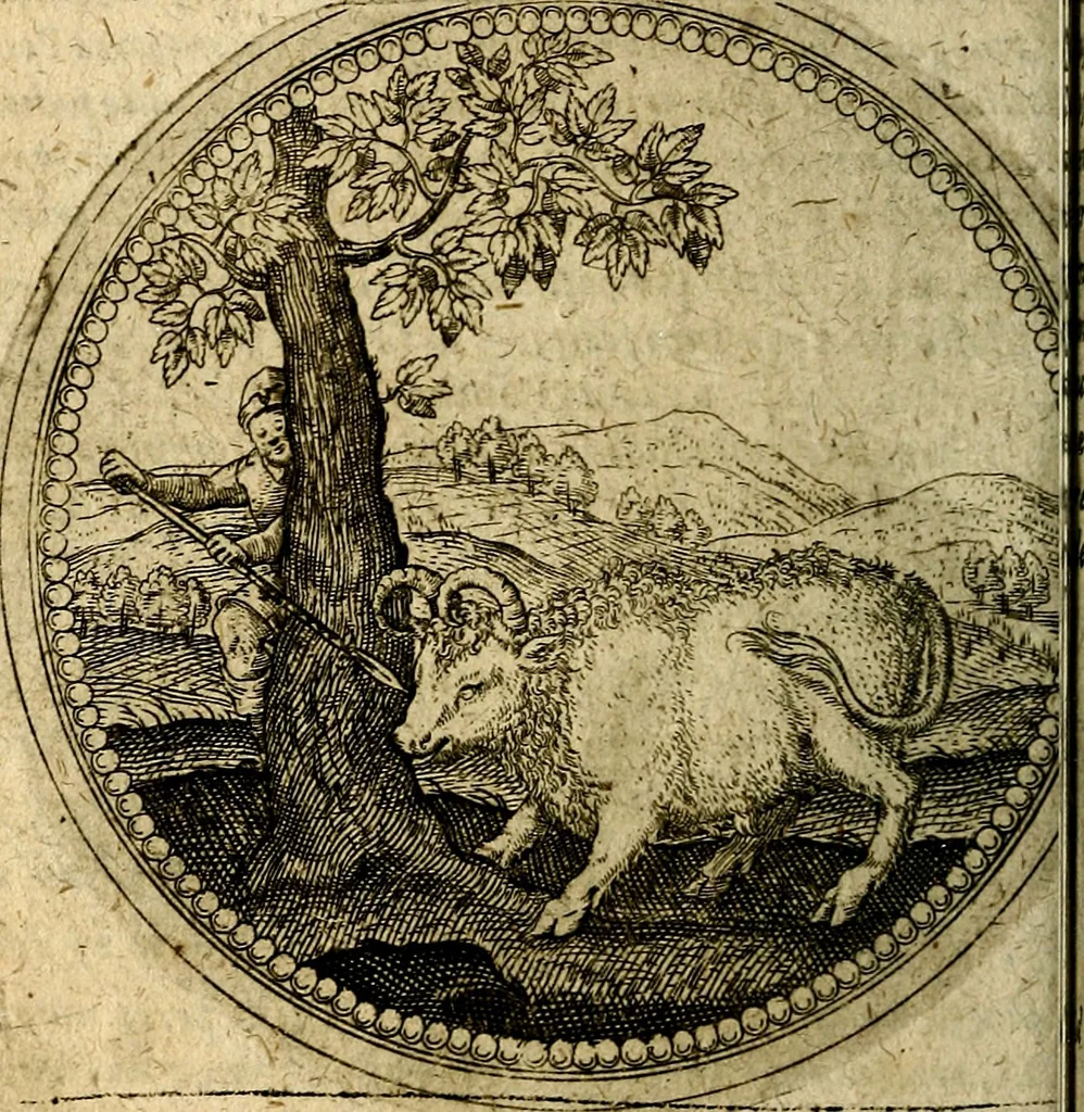 An illustration from Joachimi Camerarii Symbolorum et emblematum, centuriae quatuor .., 1668, leaf 249