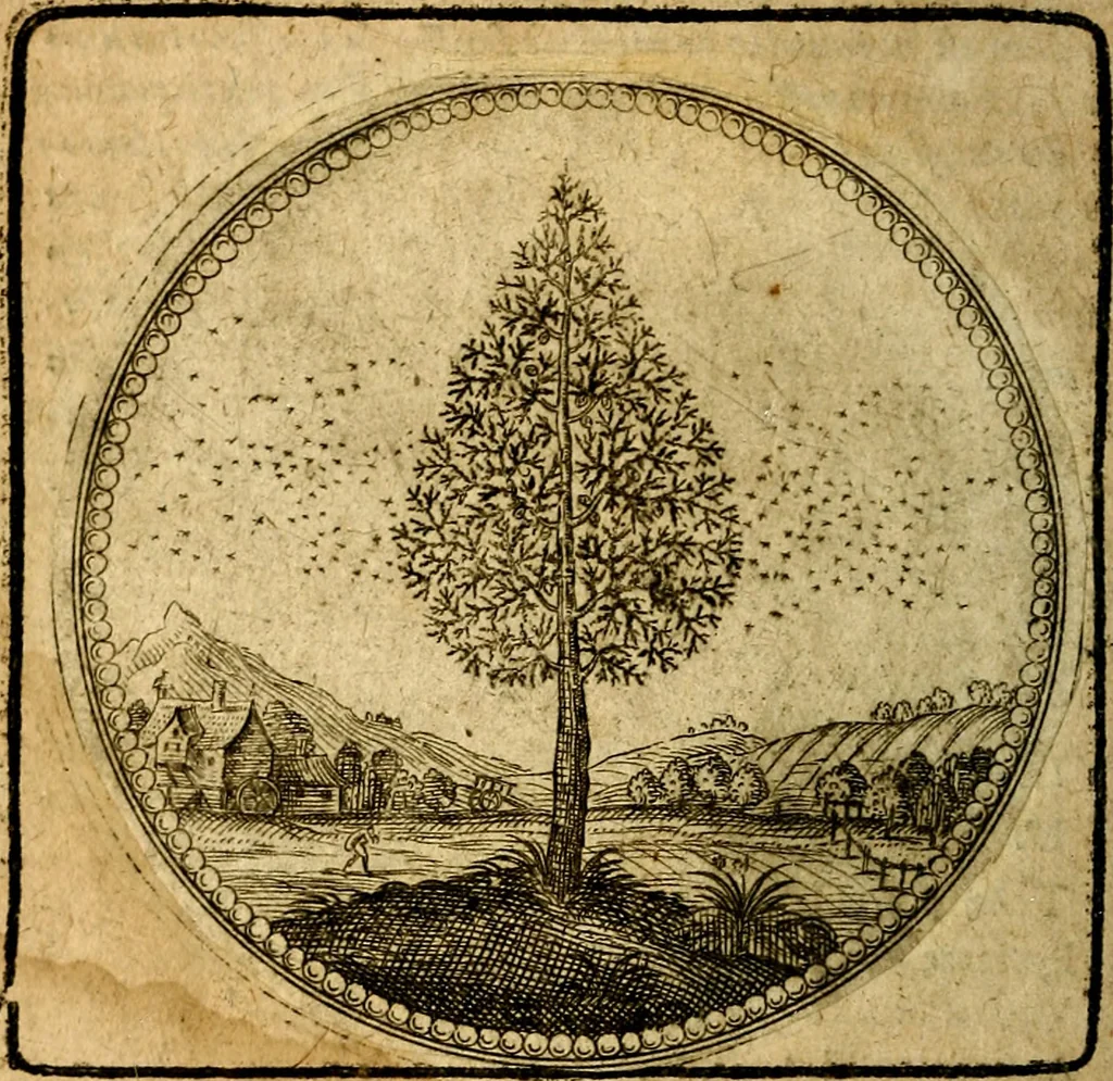 An illustration from Joachimi Camerarii Symbolorum et emblematum, centuriae quatuor .., 1668, leaf 25