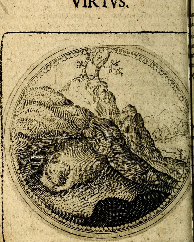 An illustration from Joachimi Camerarii Symbolorum et emblematum, centuriae quatuor .., 1668, leaf 251
