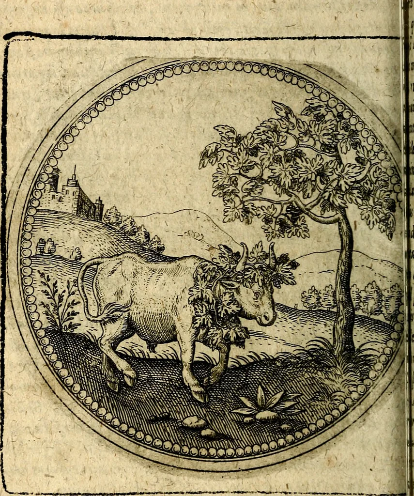 An illustration from Joachimi Camerarii Symbolorum et emblematum, centuriae quatuor .., 1668, leaf 263