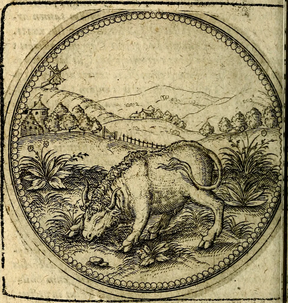An illustration from Joachimi Camerarii Symbolorum et emblematum, centuriae quatuor .., 1668, leaf 265