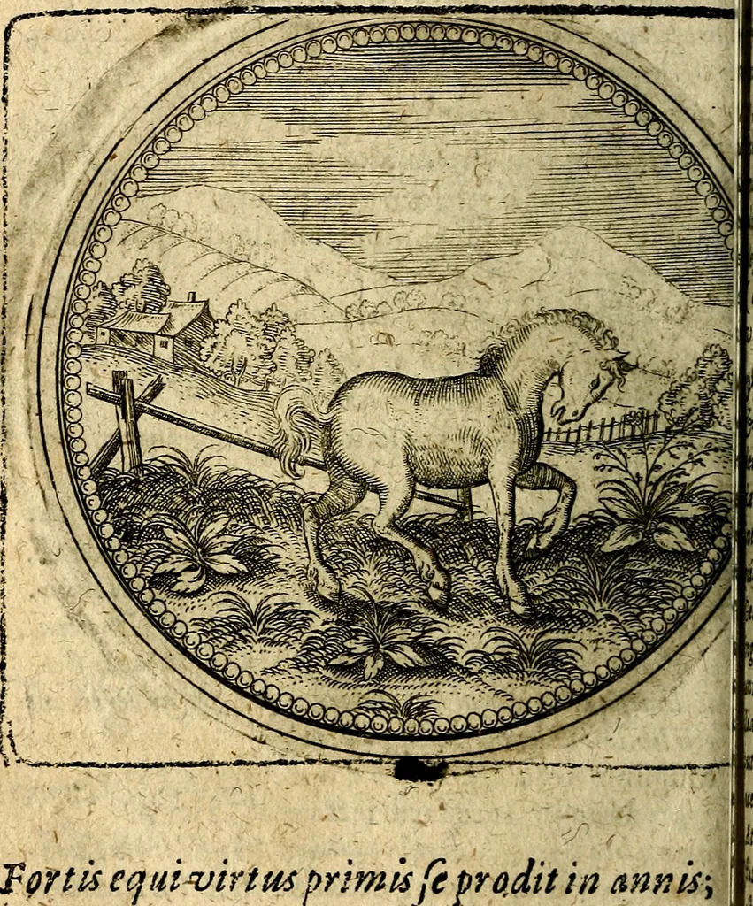 An illustration from Joachimi Camerarii Symbolorum et emblematum, centuriae quatuor .., 1668, leaf 269