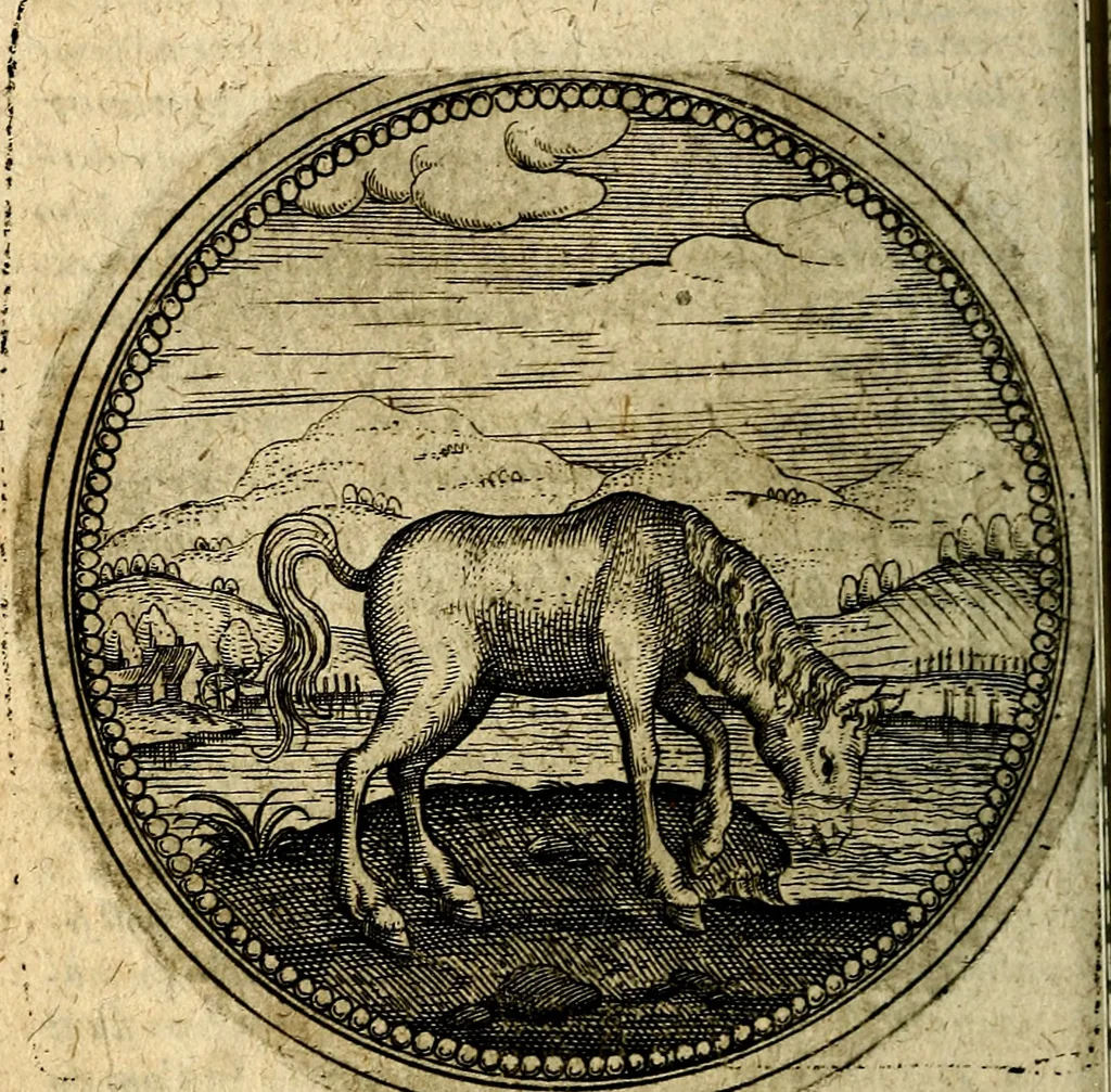 An illustration from Joachimi Camerarii Symbolorum et emblematum, centuriae quatuor .., 1668, leaf 271