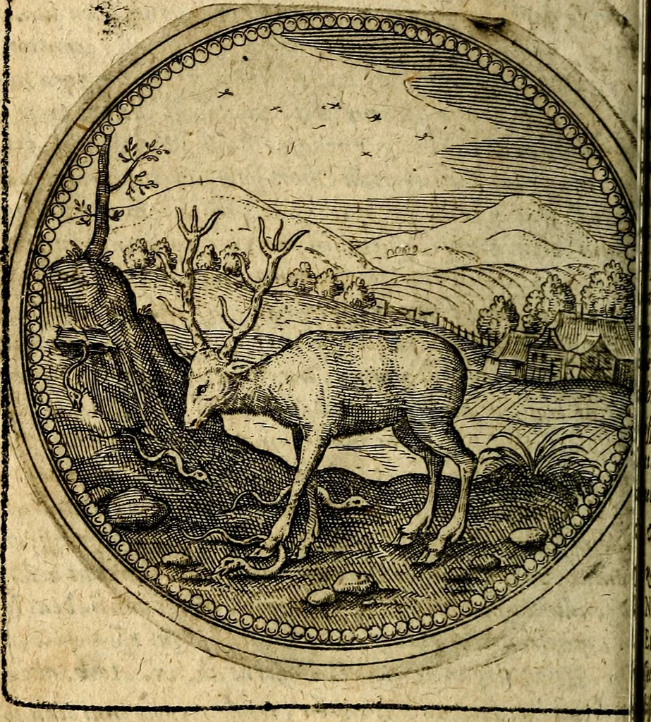 An illustration from Joachimi Camerarii Symbolorum et emblematum, centuriae quatuor .., 1668, leaf 291