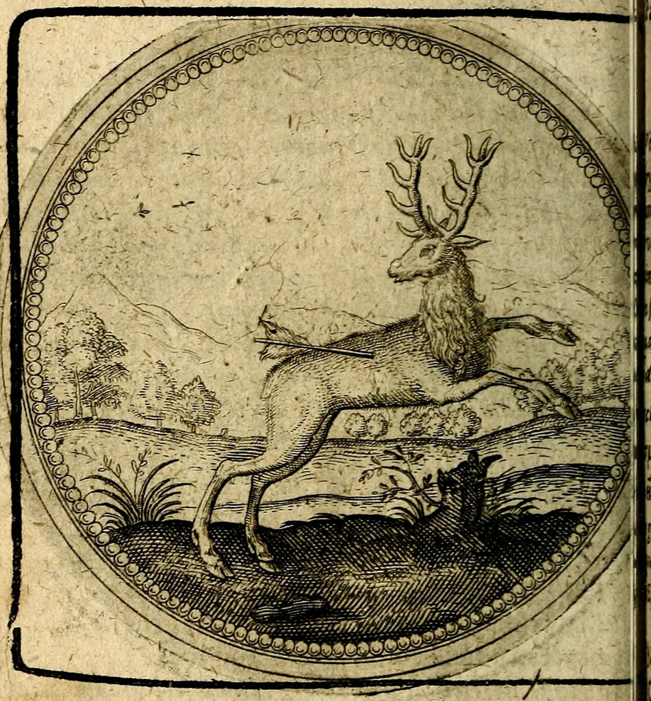 An illustration from Joachimi Camerarii Symbolorum et emblematum, centuriae quatuor .., 1668, leaf 293