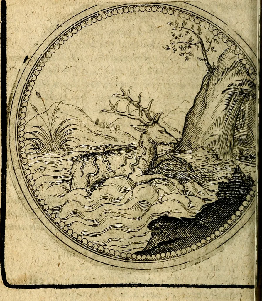 An illustration from Joachimi Camerarii Symbolorum et emblematum, centuriae quatuor .., 1668, leaf 295