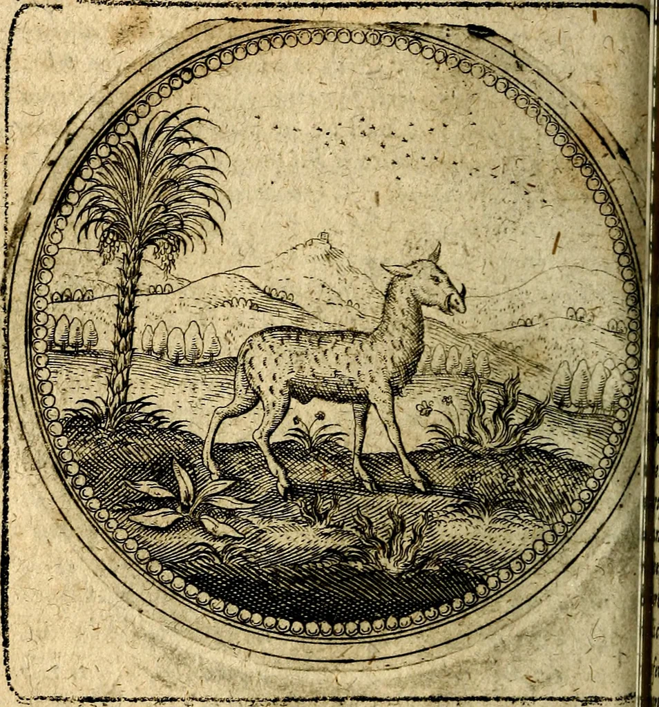 An illustration from Joachimi Camerarii Symbolorum et emblematum, centuriae quatuor .., 1668, leaf 301