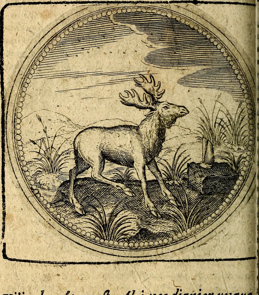An illustration from Joachimi Camerarii Symbolorum et emblematum, centuriae quatuor .., 1668, leaf 303