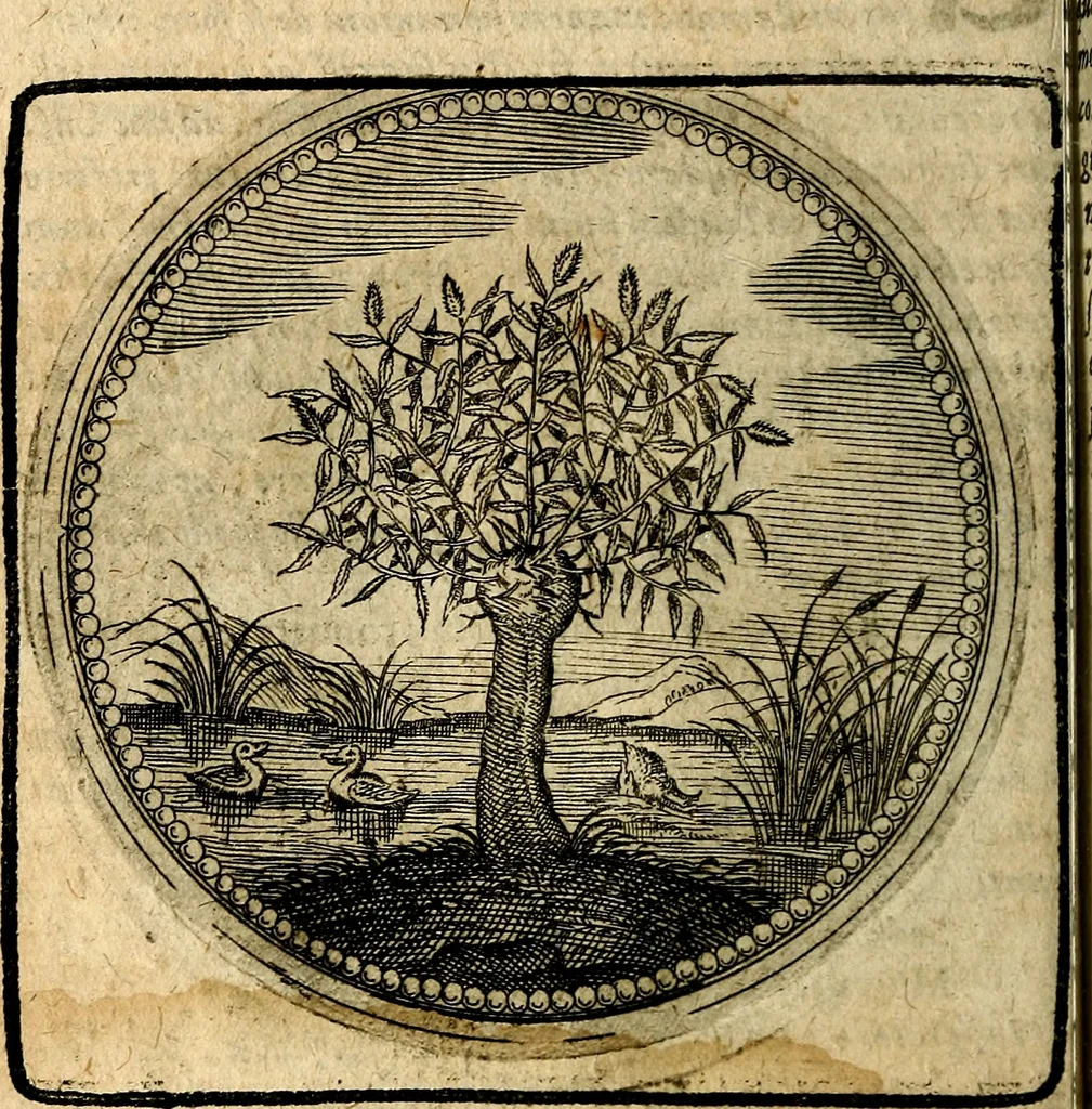 An illustration from Joachimi Camerarii Symbolorum et emblematum, centuriae quatuor .., 1668, leaf 31