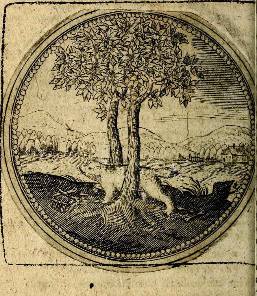 An illustration from Joachimi Camerarii Symbolorum et emblematum, centuriae quatuor .., 1668, leaf 319