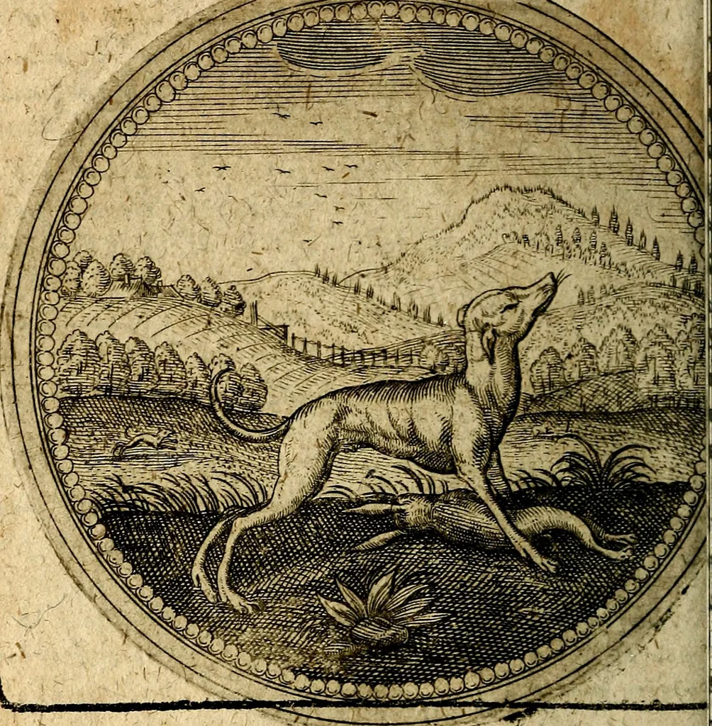An illustration from Joachimi Camerarii Symbolorum et emblematum, centuriae quatuor .., 1668, leaf 337
