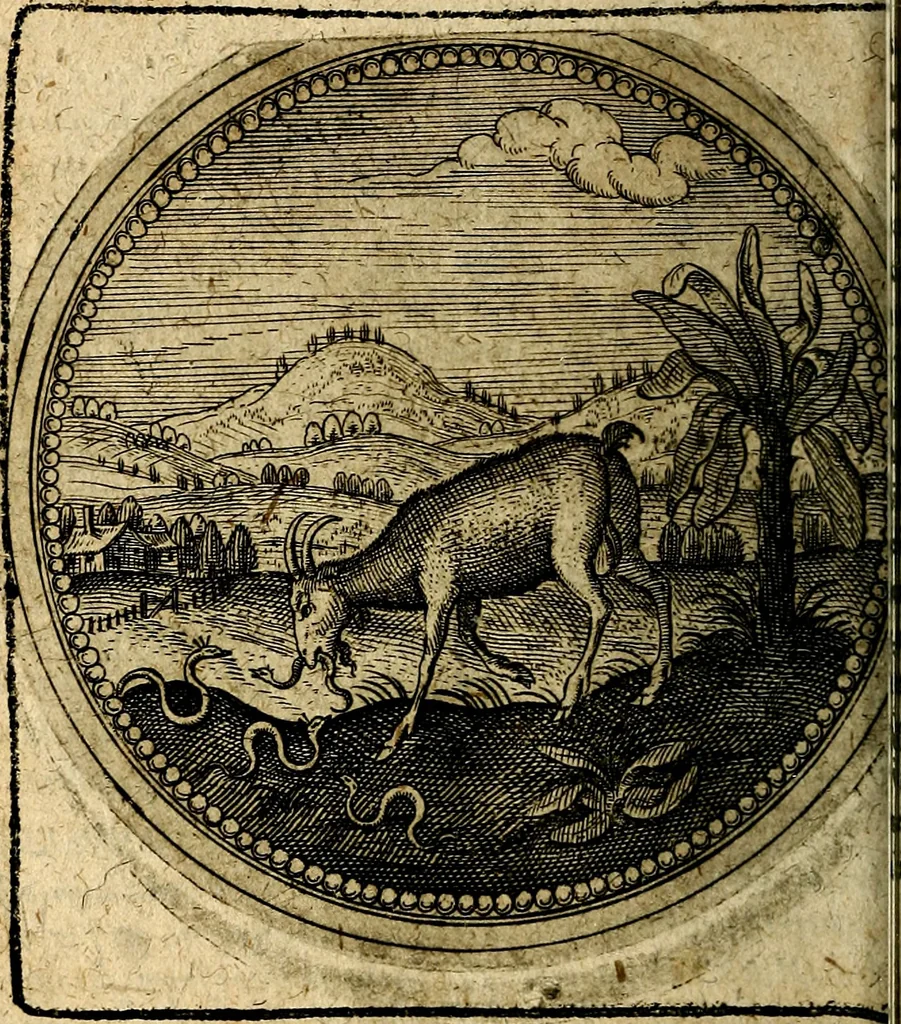 An illustration from Joachimi Camerarii Symbolorum et emblematum, centuriae quatuor .., 1668, leaf 339
