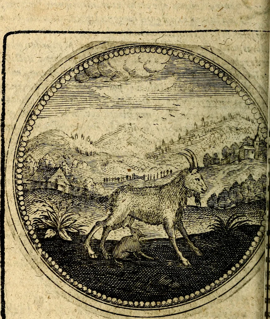 An illustration from Joachimi Camerarii Symbolorum et emblematum, centuriae quatuor .., 1668, leaf 341