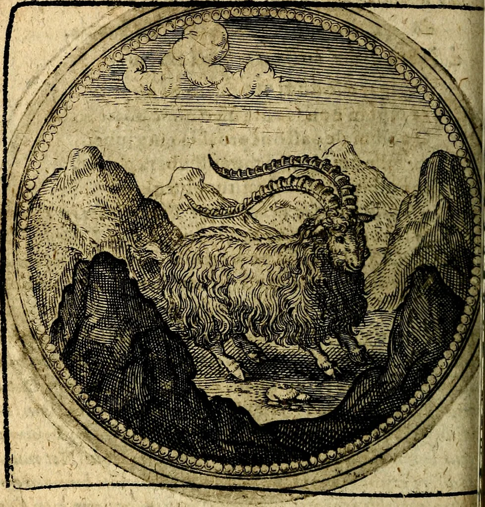 An illustration from Joachimi Camerarii Symbolorum et emblematum, centuriae quatuor .., 1668, leaf 343