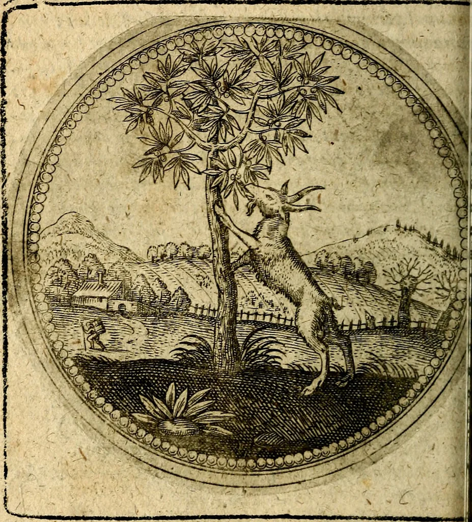 An illustration from Joachimi Camerarii Symbolorum et emblematum, centuriae quatuor .., 1668, leaf 345