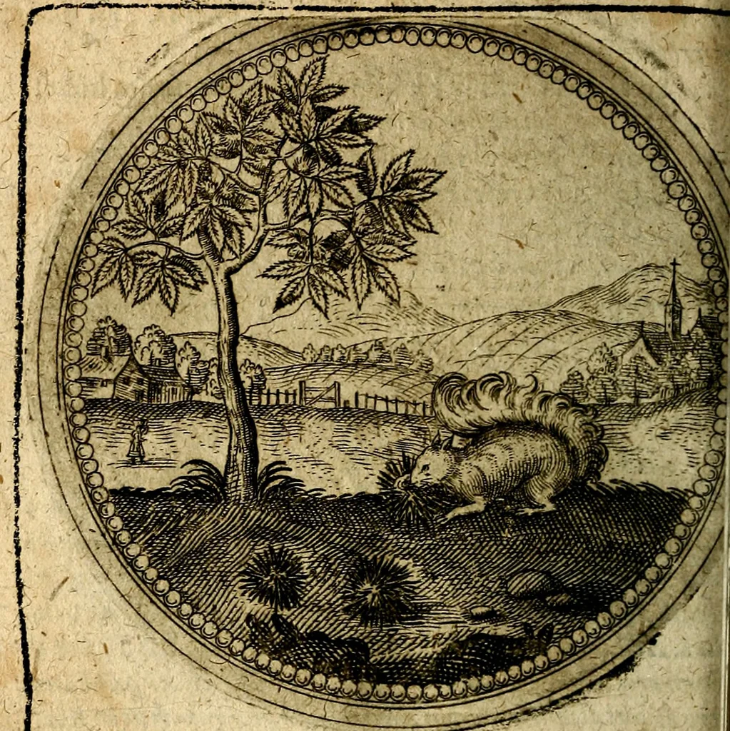 An illustration from Joachimi Camerarii Symbolorum et emblematum, centuriae quatuor .., 1668, leaf 385