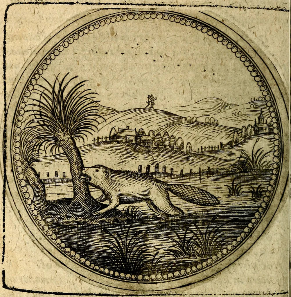 An illustration from Joachimi Camerarii Symbolorum et emblematum, centuriae quatuor .., 1668, leaf 403