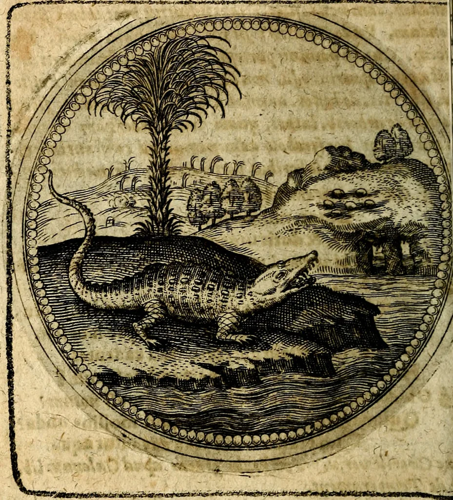 An illustration from Joachimi Camerarii Symbolorum et emblematum, centuriae quatuor .., 1668, leaf 405