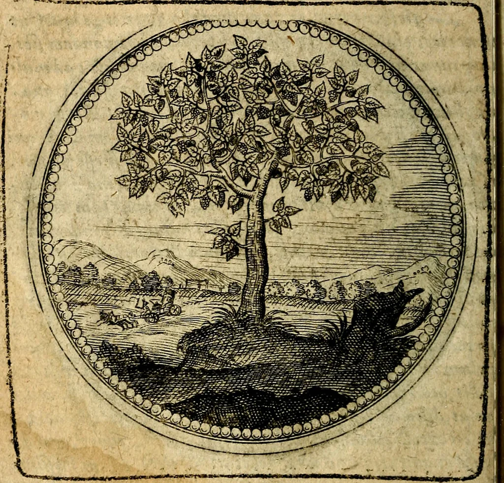 An illustration from Joachimi Camerarii Symbolorum et emblematum, centuriae quatuor .., 1668, leaf 41